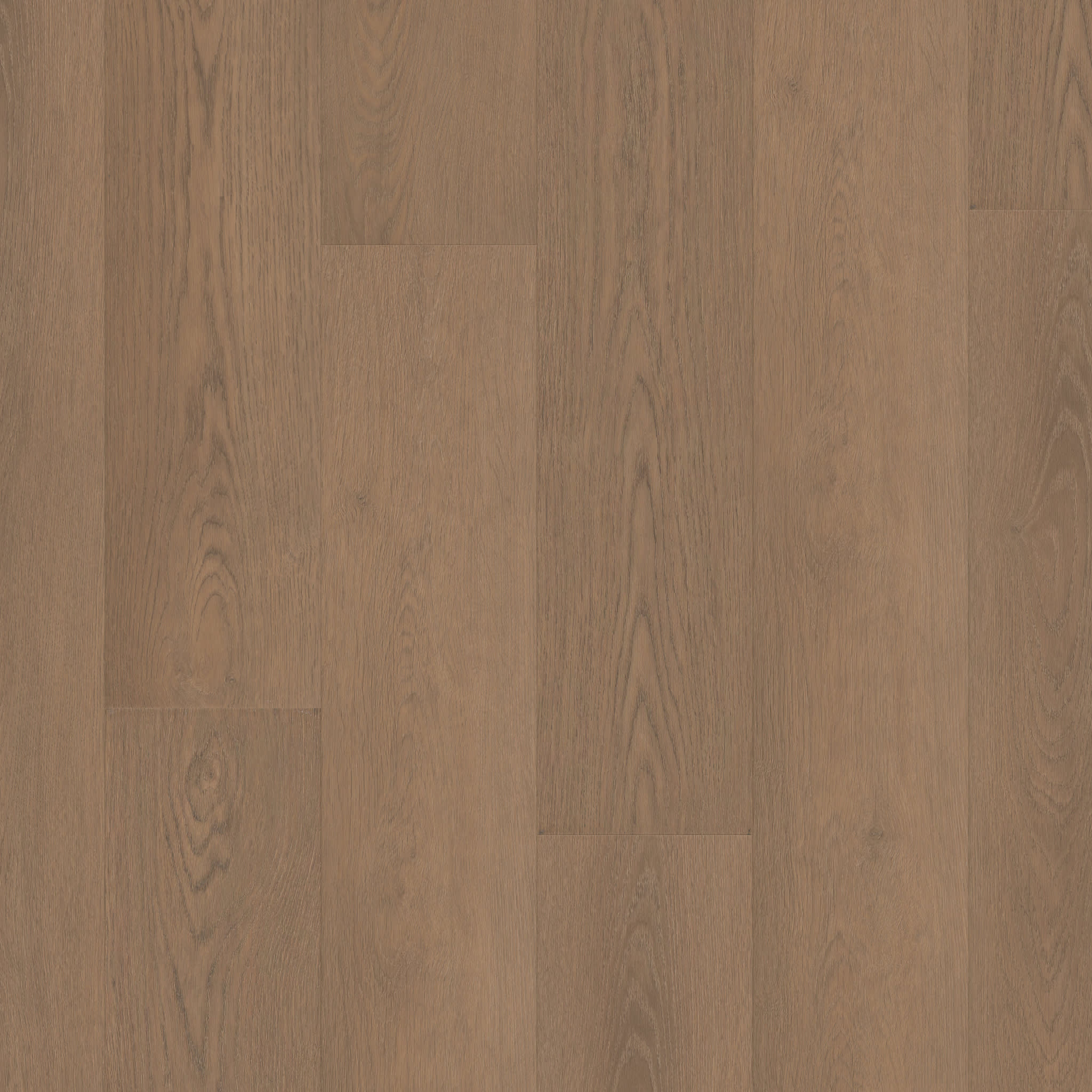 Shaw Floorte Pro - Paragon HD Plus Natural Bevel - Rutledge