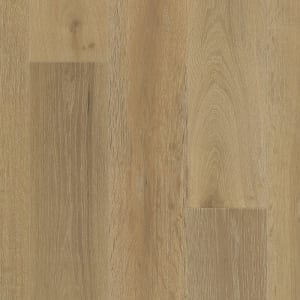 WO901-F1645 - small 1