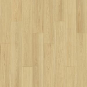 PSR16-138 - small 1