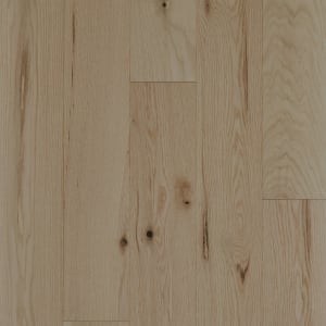 SW713-02055 - small 1