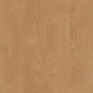 00225_5M301 - small 1