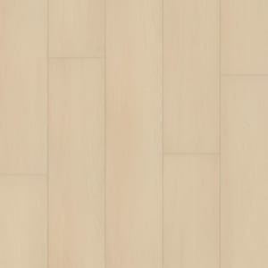 P2239-M1705 - small 1