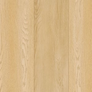SDP07-436 - small 2