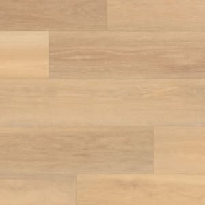 RL23 - small 1