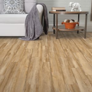 PRS99-440 - small 