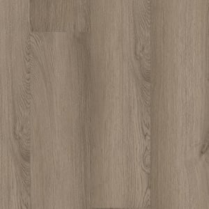 P1040-D4311 - small 1