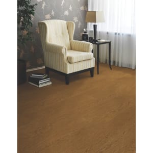 RES07-68-0648 - small 