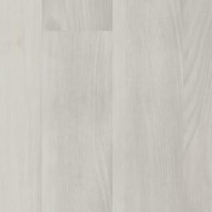 P1038-D7111 - small 1