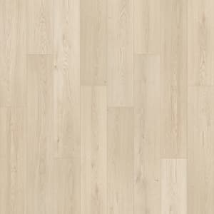 PSR11-711 - small 1