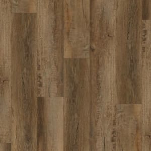 P1014-D6907 - small 1