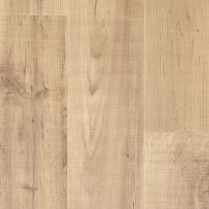 PTL05-449 - small 1