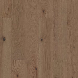 SW737_02058 - small 1