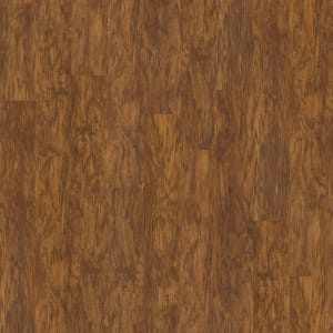 00255_0426V - small 1