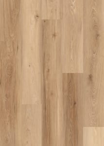 LI-DP05 - small 1