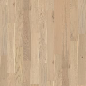 SW583-01015 - small 1
