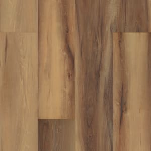 VV017-01005 - small 1