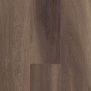 00798_2024V - small 1