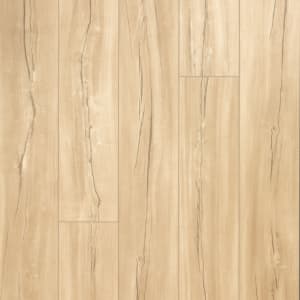 SDP02-253 - small 1