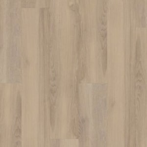 P2204-M6034 - small 1