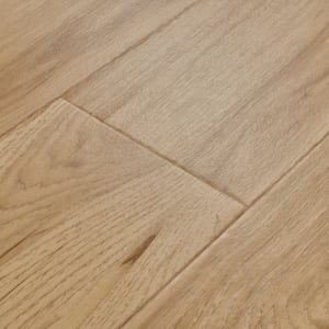 RPB770 - small 1