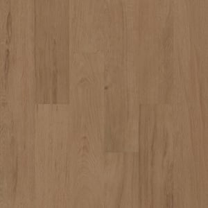 00716_5M315 - small 1