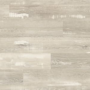 SCB137 - small 1