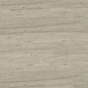 MRQR-118552 Ghost Elm - small 2