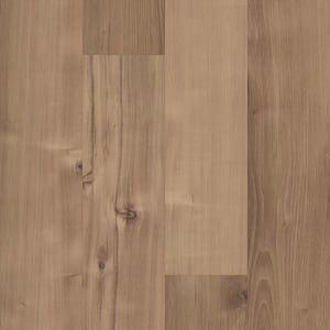 06000_5M303 - small 1