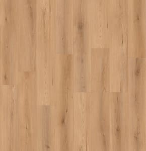 LI-CC01 - small 1