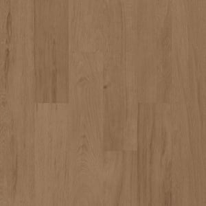 00716-5M403 - small 1
