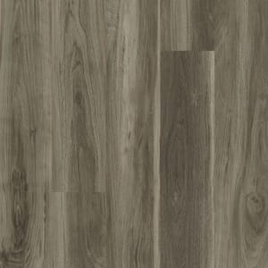00568_0999V - small 1
