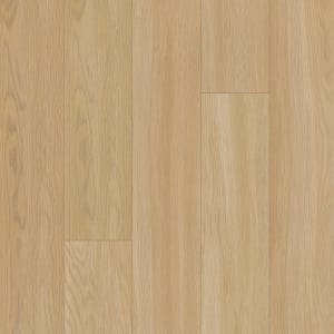 PT003-505 - small 1
