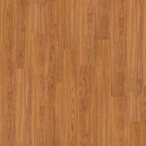 00260_0243V - small 1