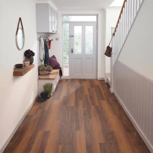 SCB41 - small 