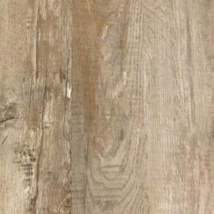 IVO39-392 - small 1
