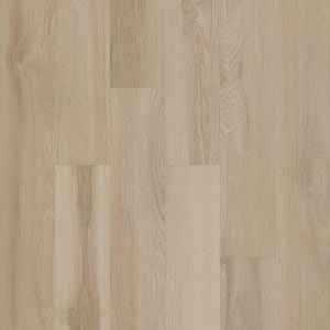 00104_5M316 - small 1