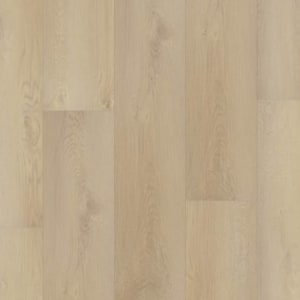 P2237-M5608 - small 1