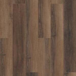 VV488-02094 - small 1