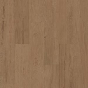00716_5M316 - small 1