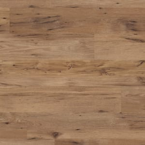 LLP120 - small 1