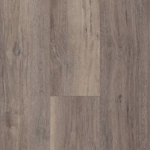 05003_2024V - small 1