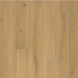 FXP743 - small 1