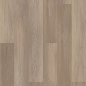 VV488-02099 - small 1