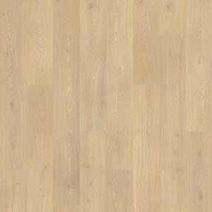 CDL05-831 - small 1