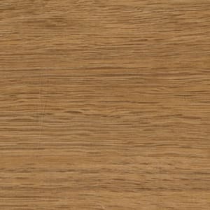 RSN-109952 North American Oak - small 2
