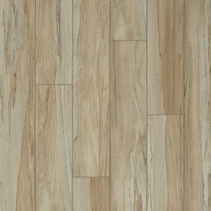 APX023 - small 1