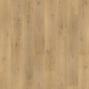 CDL05-248 - small 1