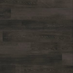 WP318 - small 1