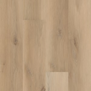 VV465-02082 - small 1