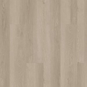 02029-3365V - small 1